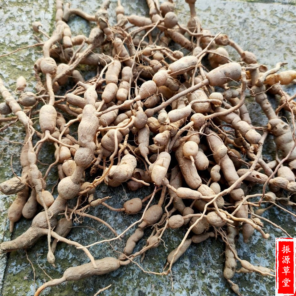 老虎野生青草草药新鲜树根中药材刺根绣花针白凤珠其他药食同源食品