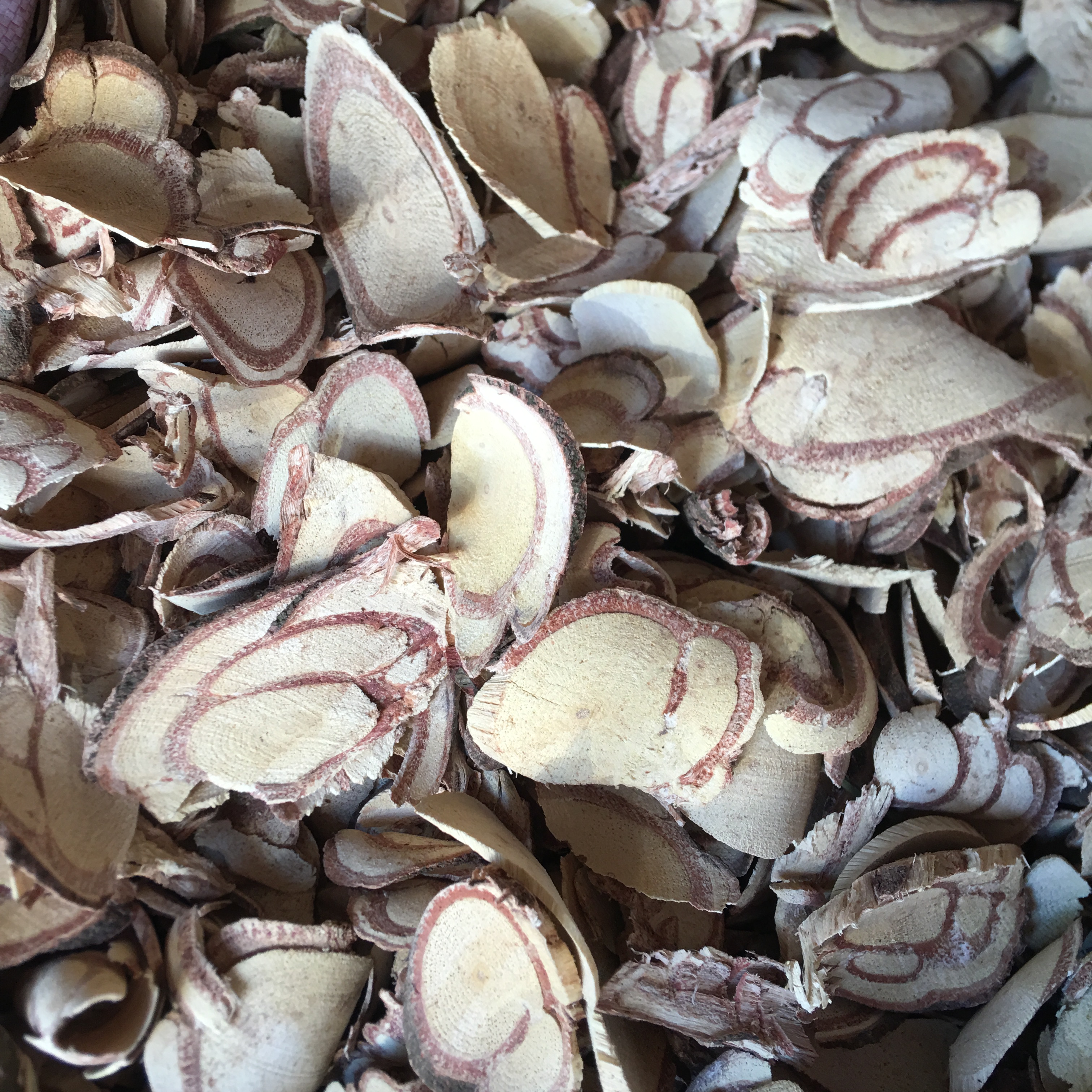 野生血风藤 血风根 老人根 铁牛入石月子洗澡药材血枫根500g晒干