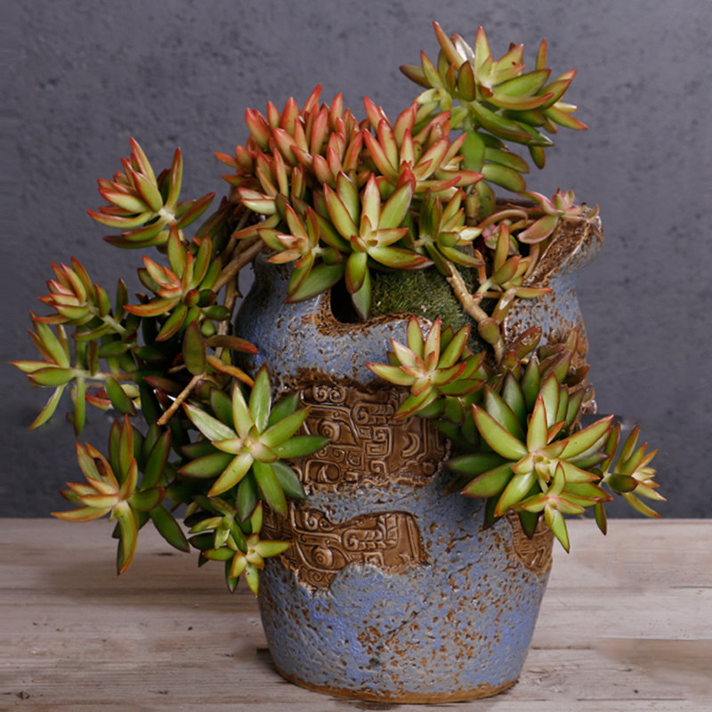 法师老庄花盆大口径多肉陶瓷透气粗陶高筒创意花盆