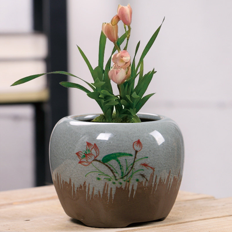 紫砂蝴蝶兰专用花盆陶瓷粗陶复古家用多肉植物花盆