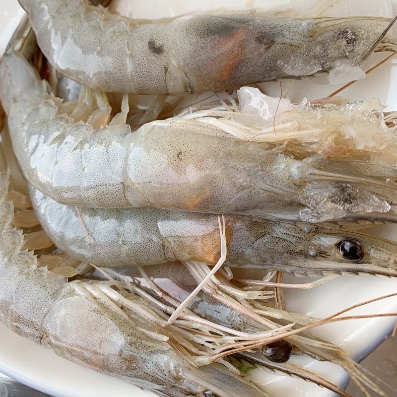 渤海对虾鲜活基围冷冻速冻海鲜大号东方虾特大冻虾