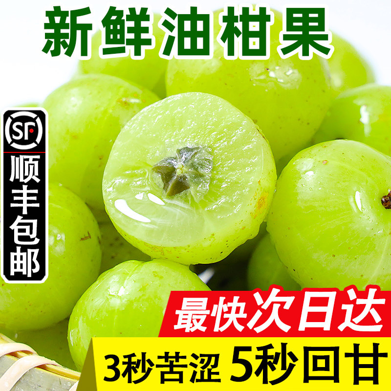 油甘顺丰5斤水果酸水孕妇油柑用油茶店果奶其它