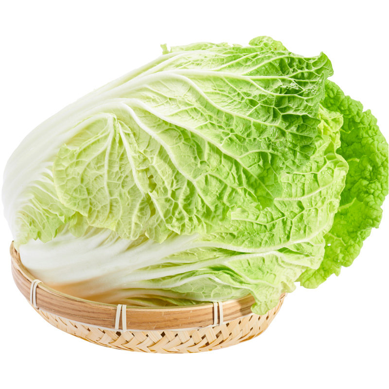 绿源禾心山东特产胶州大白菜礼盒盒装新鲜蔬菜叶菜类