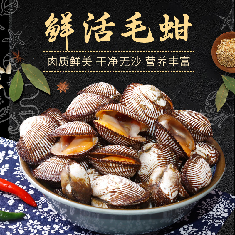新鲜大毛蚶海贝类鲜活蛤蜊野生血蛤海毛蛤连云港贝类制品