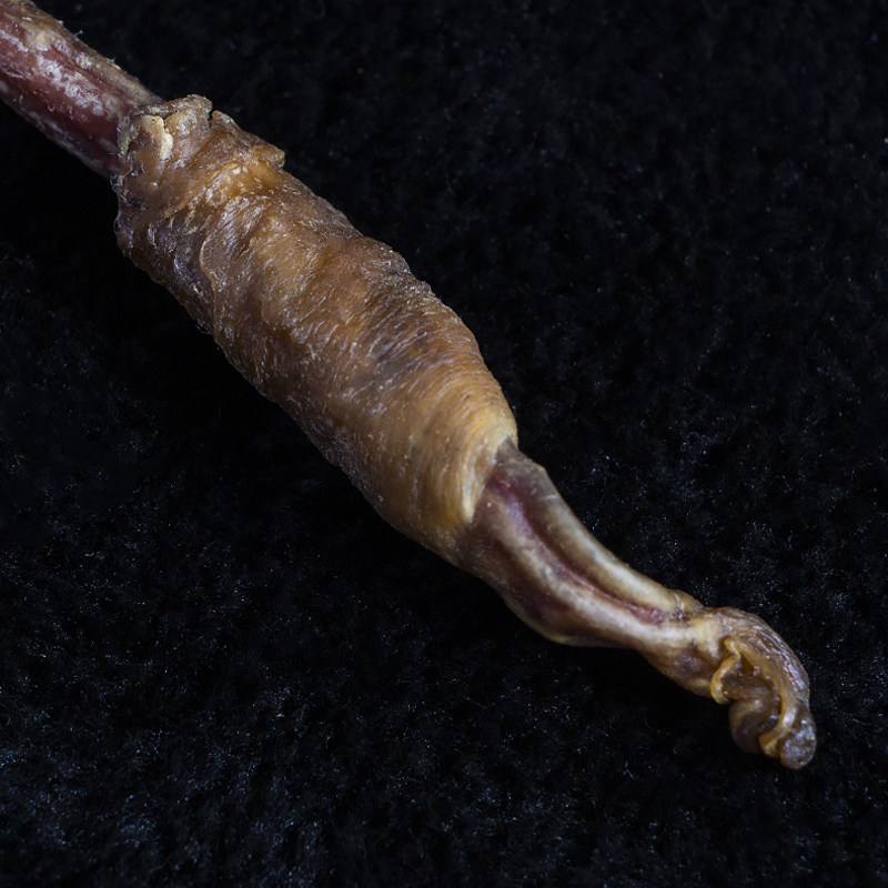 羊鞭干3条男性滋补泡酒料整条羊鞭非中药材新鲜鞭羊宝羊蛋羊肾男