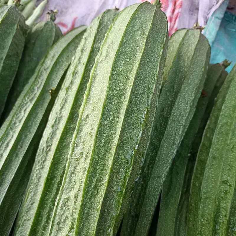丝瓜八角新鲜农家自种棱角现摘应季广东菜当季其它
