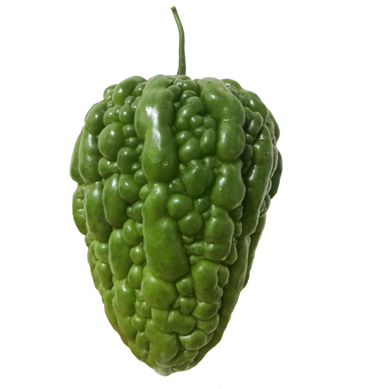 凉瓜新鲜农家正宗杜阮大苦瓜松脆无渣圆形广东其它