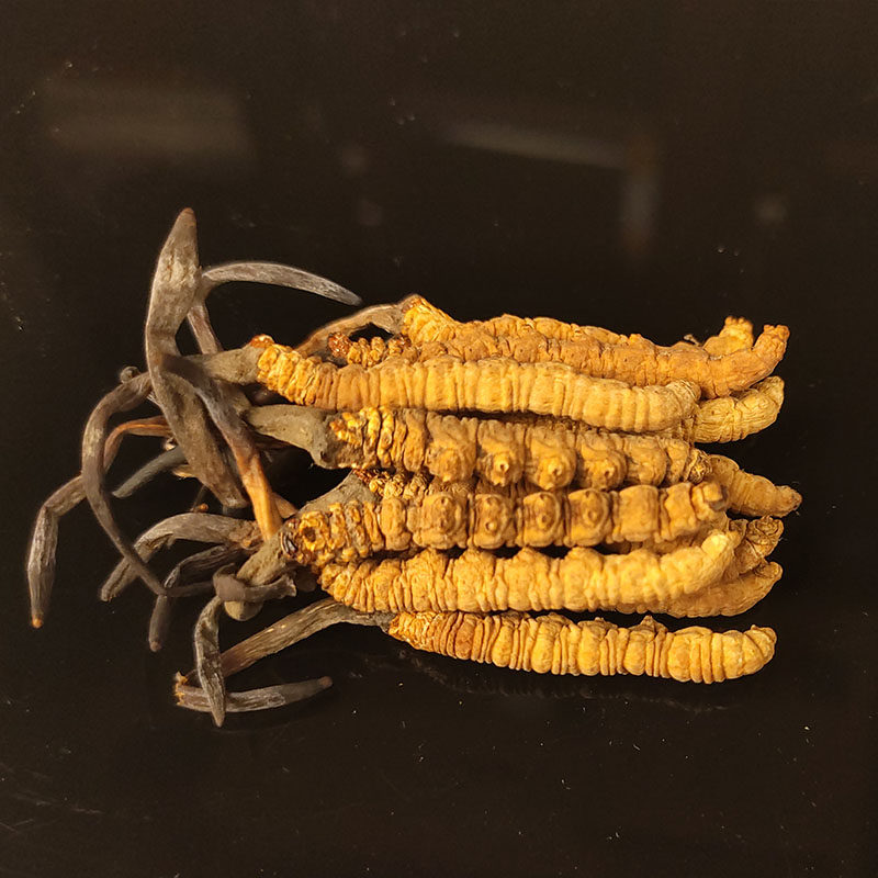 西藏那曲正品冬虫夏草2根1克10克装高品质干虫草非玉树青海虫草