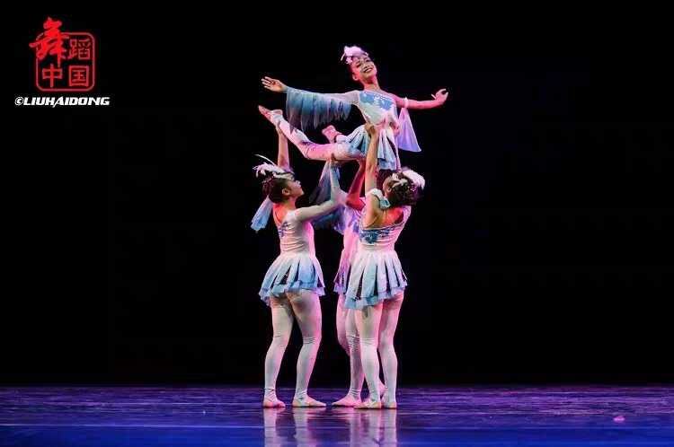 新荷花环保造型飞翔海鸥翅膀小鸟女童表演舞蹈儿童演出服