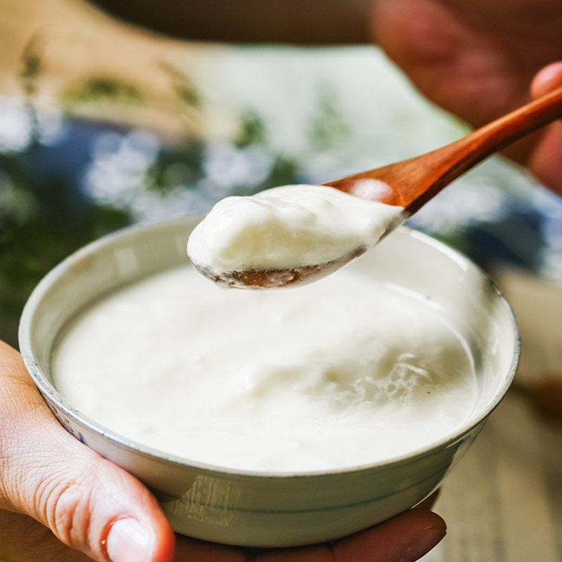 小西牛青海老酸奶整箱乳酸菌发酵乳益生菌原味酸奶低温碗装150克