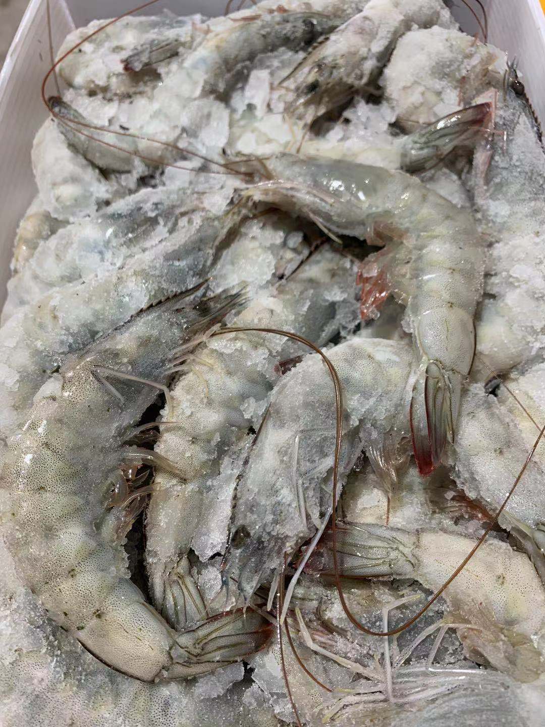 厄瓜多尔进口带壳急冻海水虾去3斤3两顺丰包邮冻虾