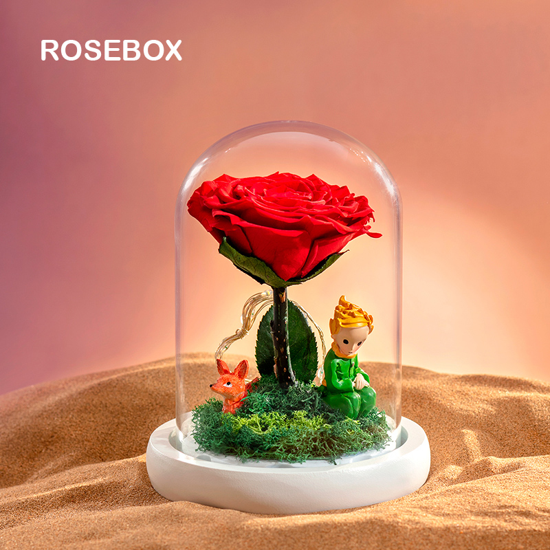 小王子玫瑰花永生干花花束礼盒系列生日礼物女友永生花