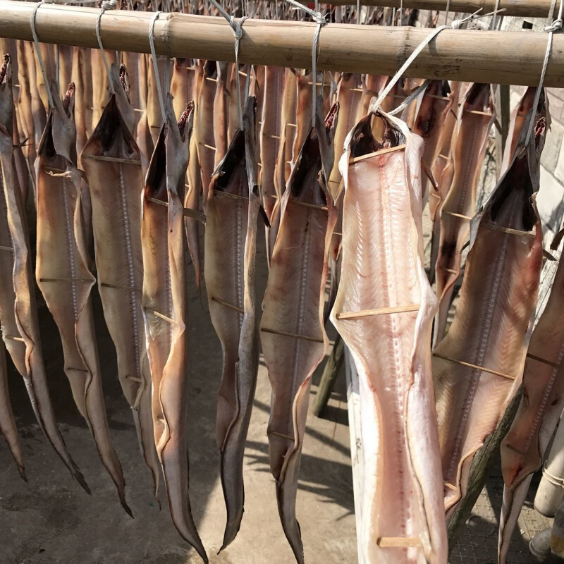 鳗鱼宁波舟山东海特产风鳗筒鲞非全干野生海海鲜鳗鱼