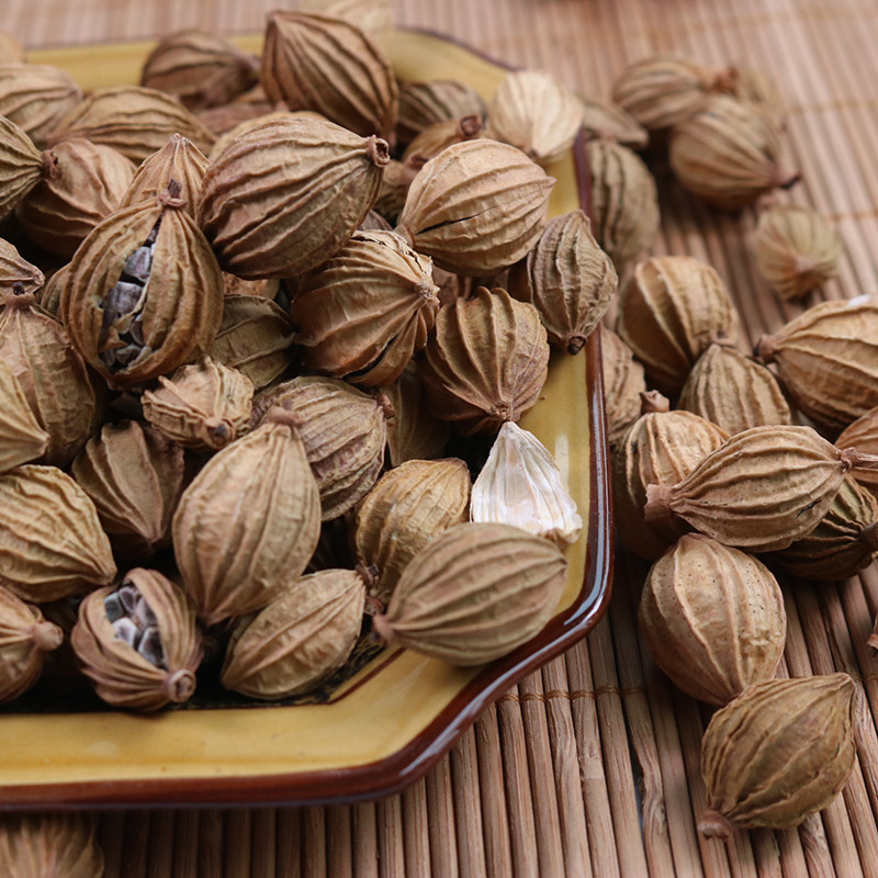 香砂仁50g川砂仁四川土砂仁金砂仁火锅卤肉料调味香辛料一斤包邮