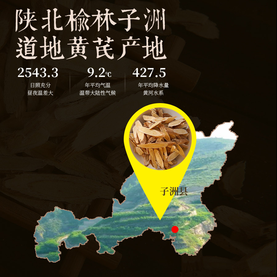 野生黄芪天芪特级子洲五年年生马口铁盒装中药材黄芪