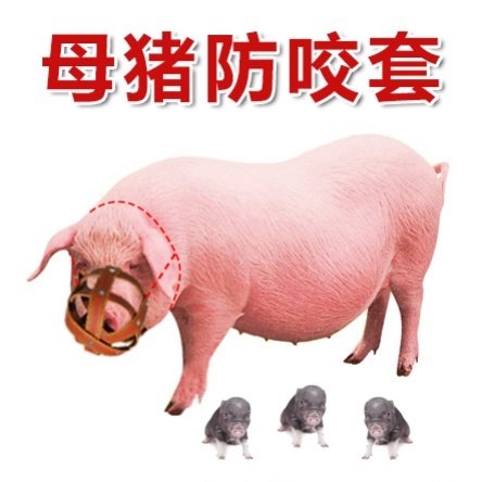 母猪猪嘴牛嘴套防咬仔猪套马笼头头套嘴牛嘴套马眼罩