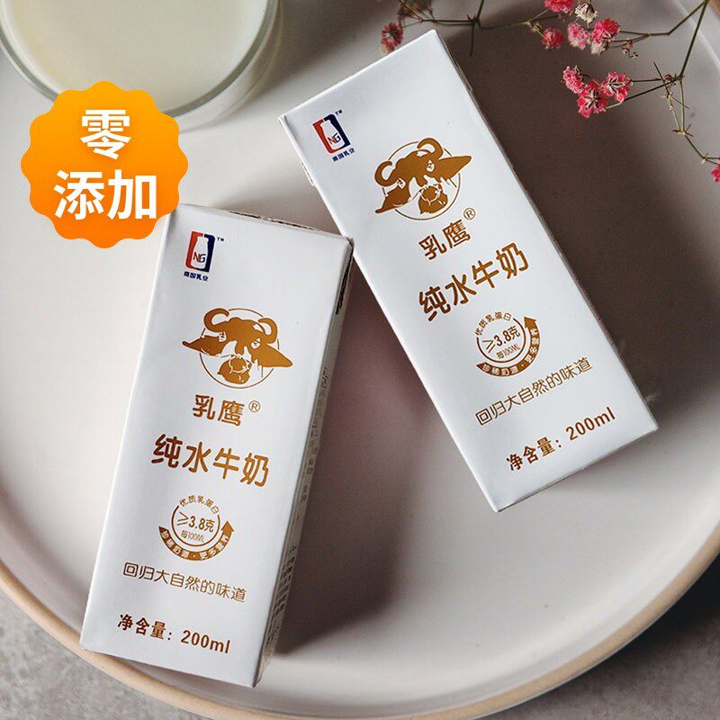 水牛乳鹰纯奶整箱200ml10盒20盒儿童营养早餐纯牛奶