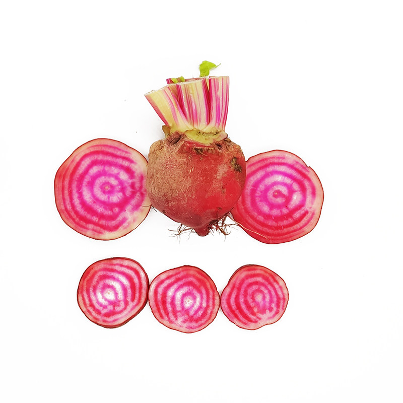 条纹新鲜菜头螺旋纹菜头250g西餐摆盘装饰萝卜其它