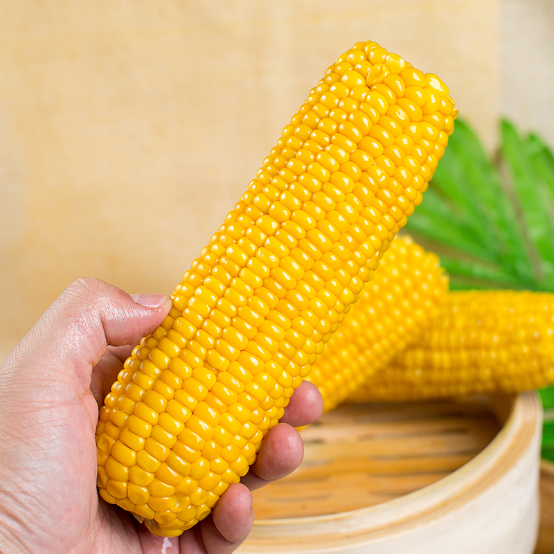 东北糯玉米甜糯玉米棒粗粮代餐新鲜真空粘玉米黄糯玉米8支