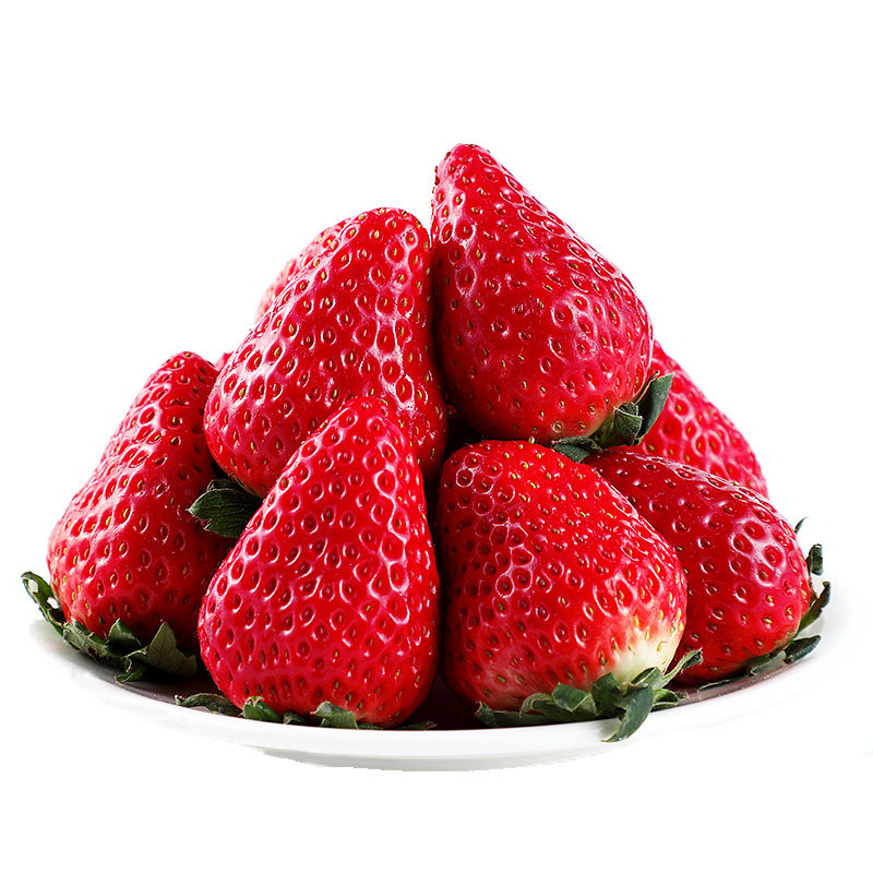 草莓长丰奶油5斤新鲜应当当季孕妇水果九九草莓