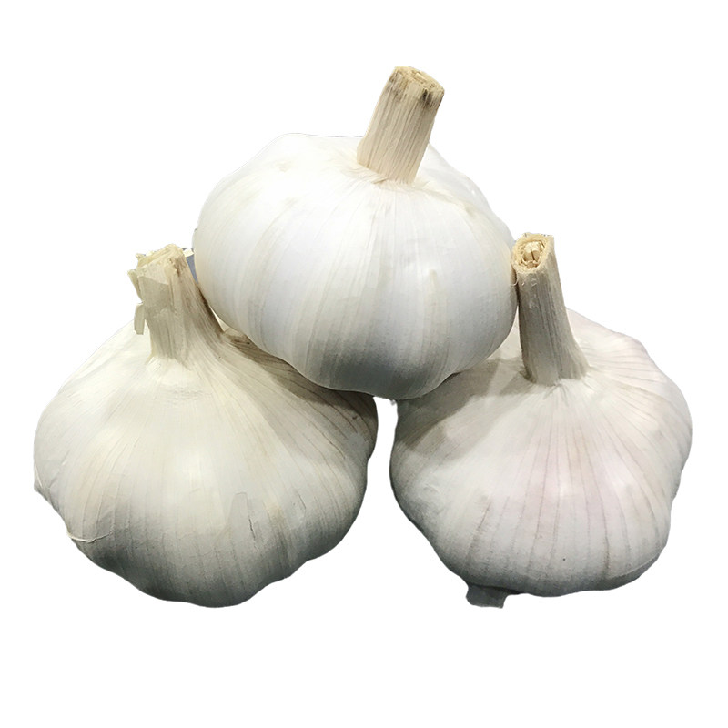 干蒜头2020年新白皮大蒜头晒干紫皮净重5斤蒜蓉烧烤糖醋腌制包邮