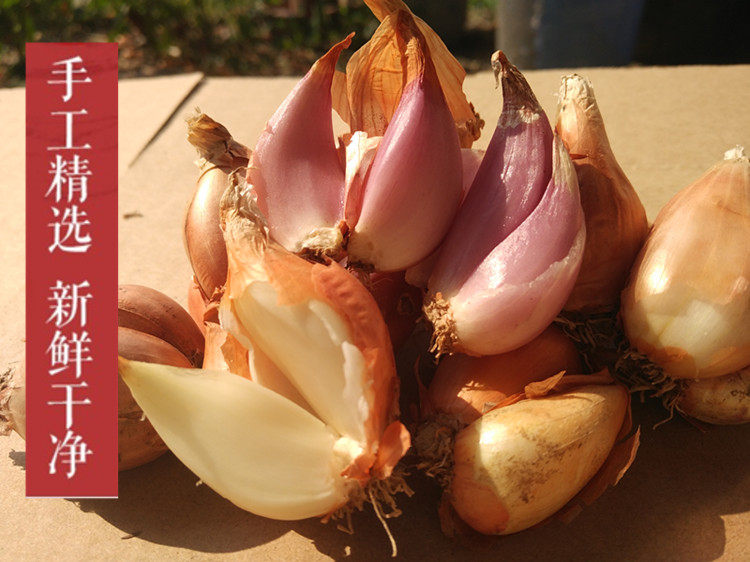 农家露天葱果干葱头红葱头种子熬制葱油卤肉饭调料1斤葱头饱满