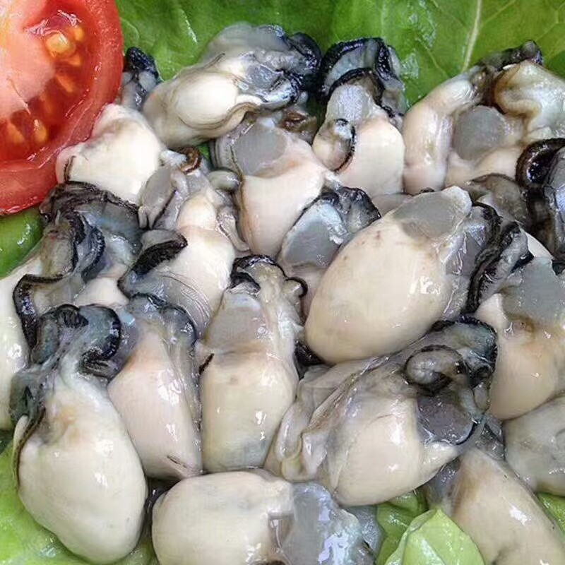 蚝肉新鲜现剥生3斤装汫洲去壳鲜活牡蛎1500g全国生蚝