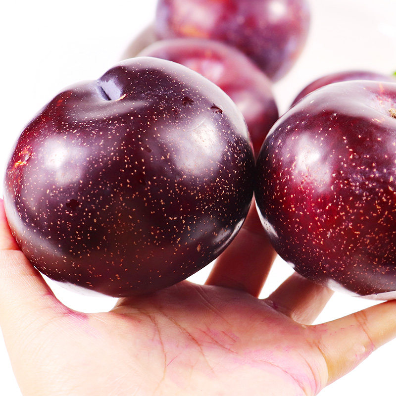 (坏果包赔)陕西黑布林李子新鲜应急孕妇酸甜水果整箱包邮净重5