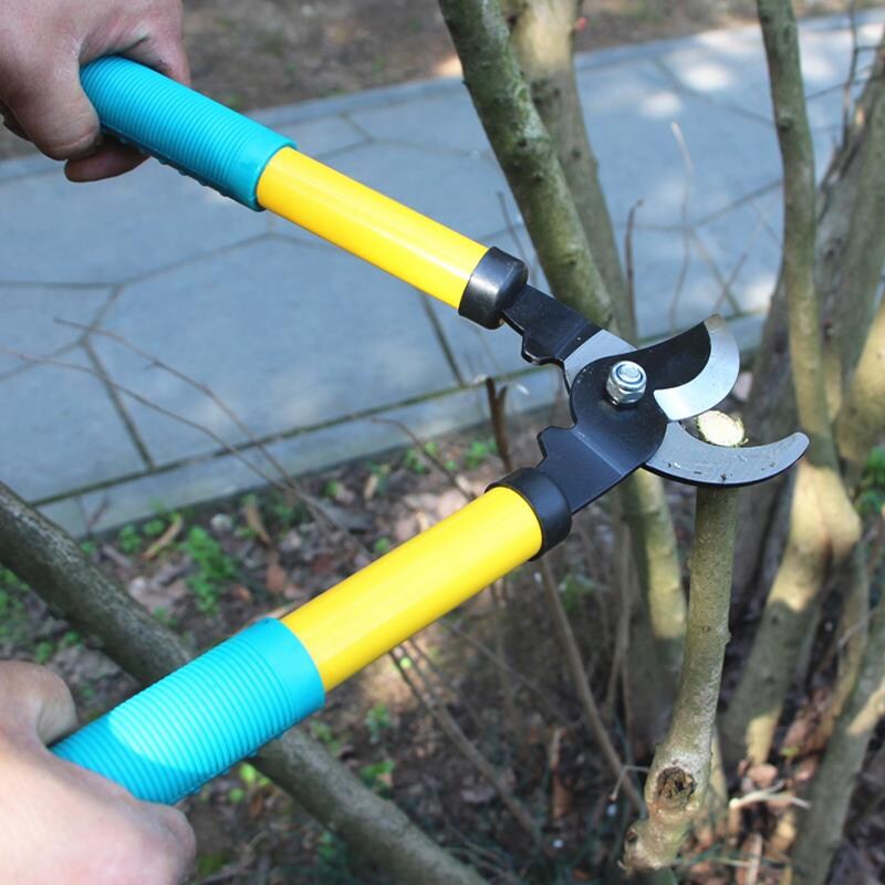 修剪手动家用割草割草机机械树木剪刀绿化枝条园艺剪