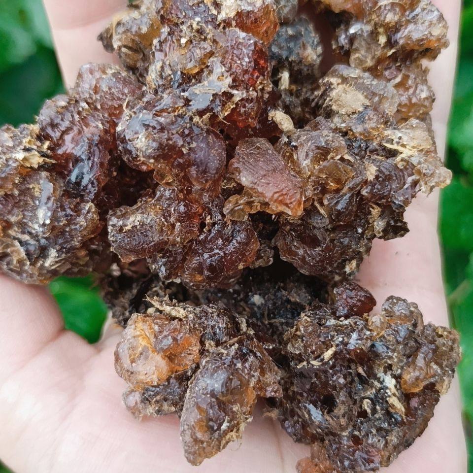 沙枣生发养发护发控脱原产地新疆和田发货全国枣