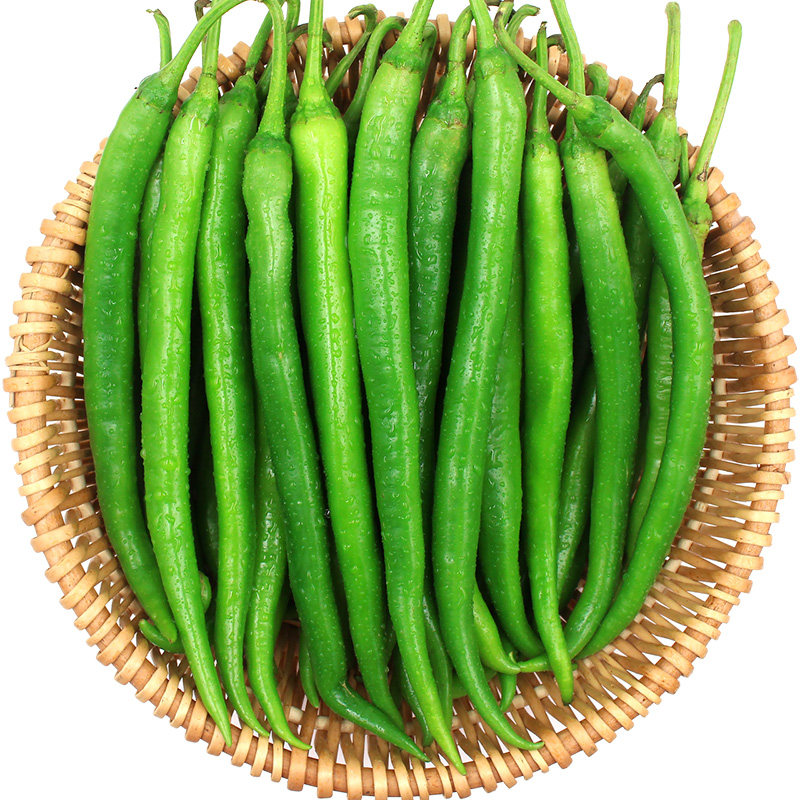 贵州现摘二荆条辣椒5斤装 新鲜五彩红线椒尖大中辣灯笼螺丝泰青椒