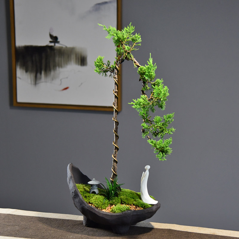 禅意中式大真观赏盆景独杆树桩室内造型植物大型绿植