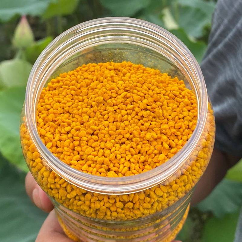 荷花粉纯天然新鲜蜂花粉江西广昌蜂场直供莲花粉美容美白2020新货