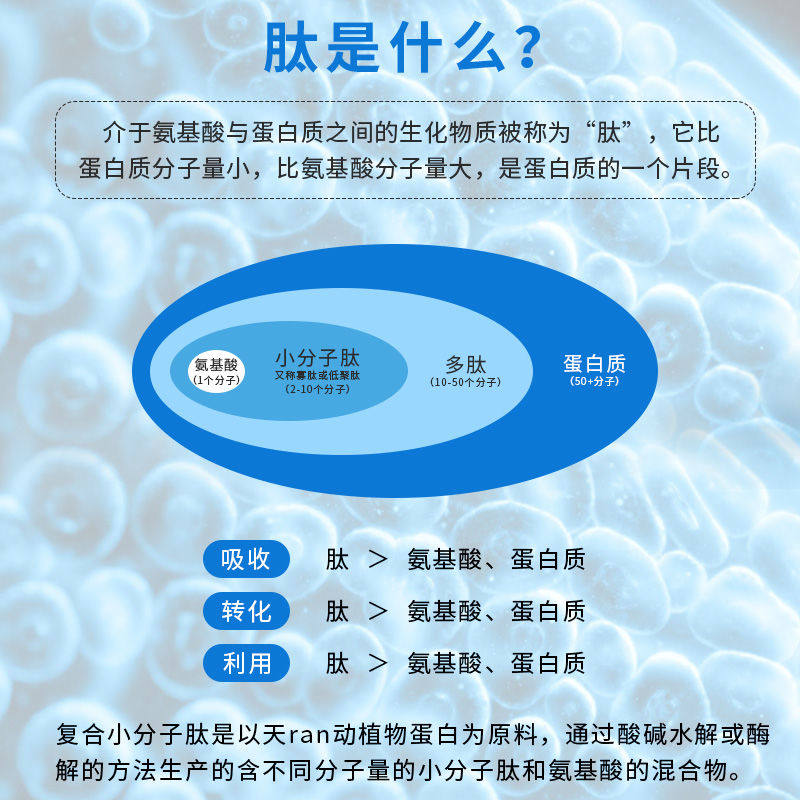 小分分子肽骨胶原蛋白粉海参牡蛎海洋大豆玉米肽类