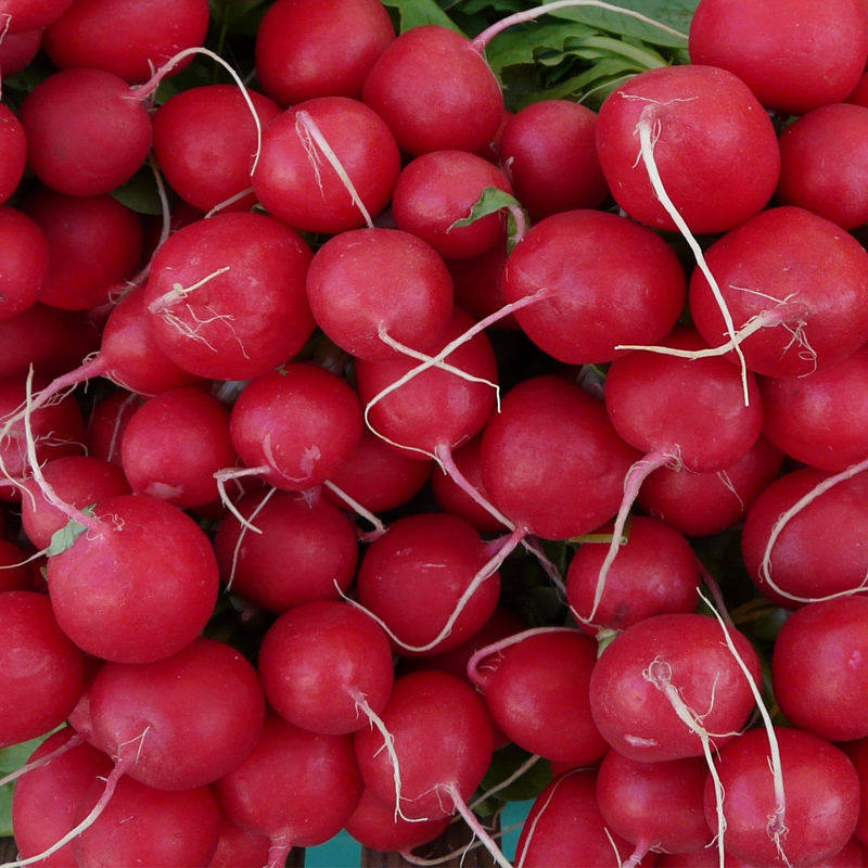 樱桃小萝卜新鲜孕妇水果萝卜胭脂脆甜红萝卜当季萝卜