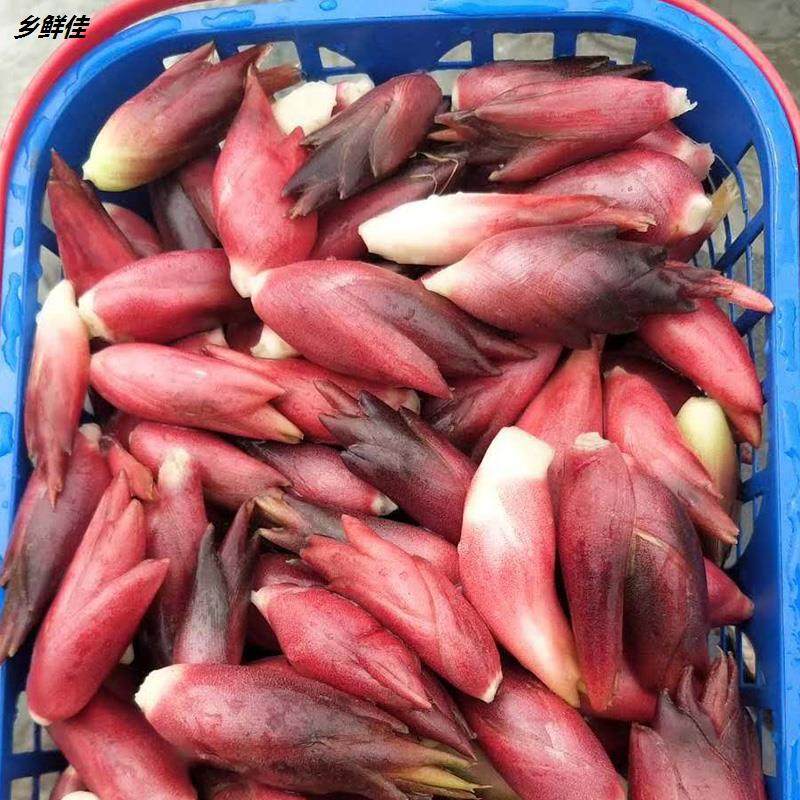 新鲜现摘阳荷3斤野菜洋荷洋藿阳何茗荷蔬菜其它