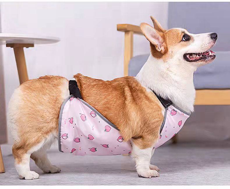 狗狗肚兜柯基犬护肚子防着凉
