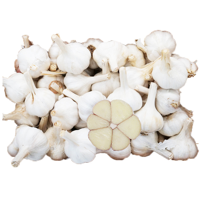 2019年新鲜干蒜苍山大蒜头5斤干蒜 四六瓣白皮种山东农家蒜老品种