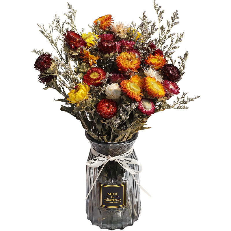 干花ins小雏菊装饰摆件天然真花风干北欧客厅干花