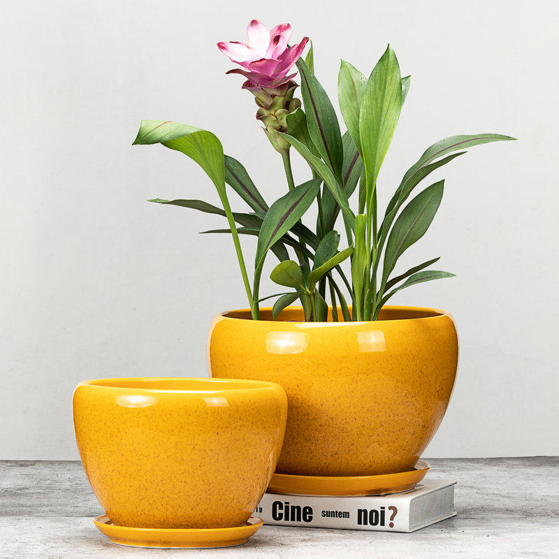 花盆陶瓷大号盆中号盆托盘花卉盆栽盆兰大码花盆