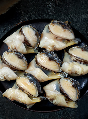 大海螺肉海鲜熟食即食罐装鲍螺肉