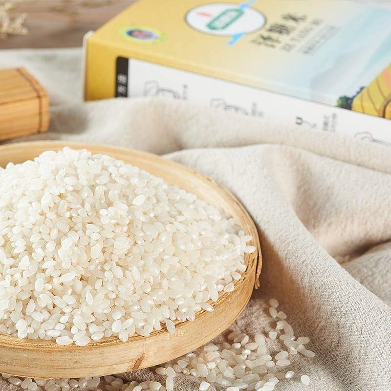泽糖米体验装500克控制平稳血糖大米无糖适宜糖尿病大米主食食品