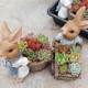 Large creative cute size rabbit fleshy flower pot ins wind home decoration living room crafts gardening ornaments Large creative cute size rabbit fleshy flower pot ins wind home decoration living room crafts gardening ornaments