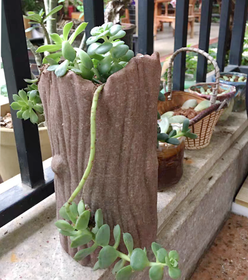 高筒款大号多肉花盆陶瓷满天星花瓶悬崖桩小老庄花盆