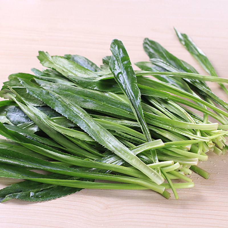 云南香菜新鲜老缅芫荽傣族香料德宏宏大芫茜其它