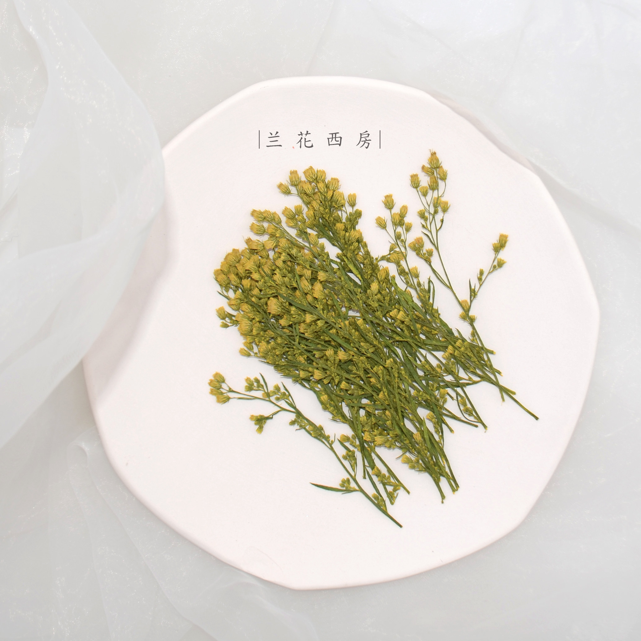 小蓬植物标本干花押花相框滴胶手机壳贴脸树叶干花