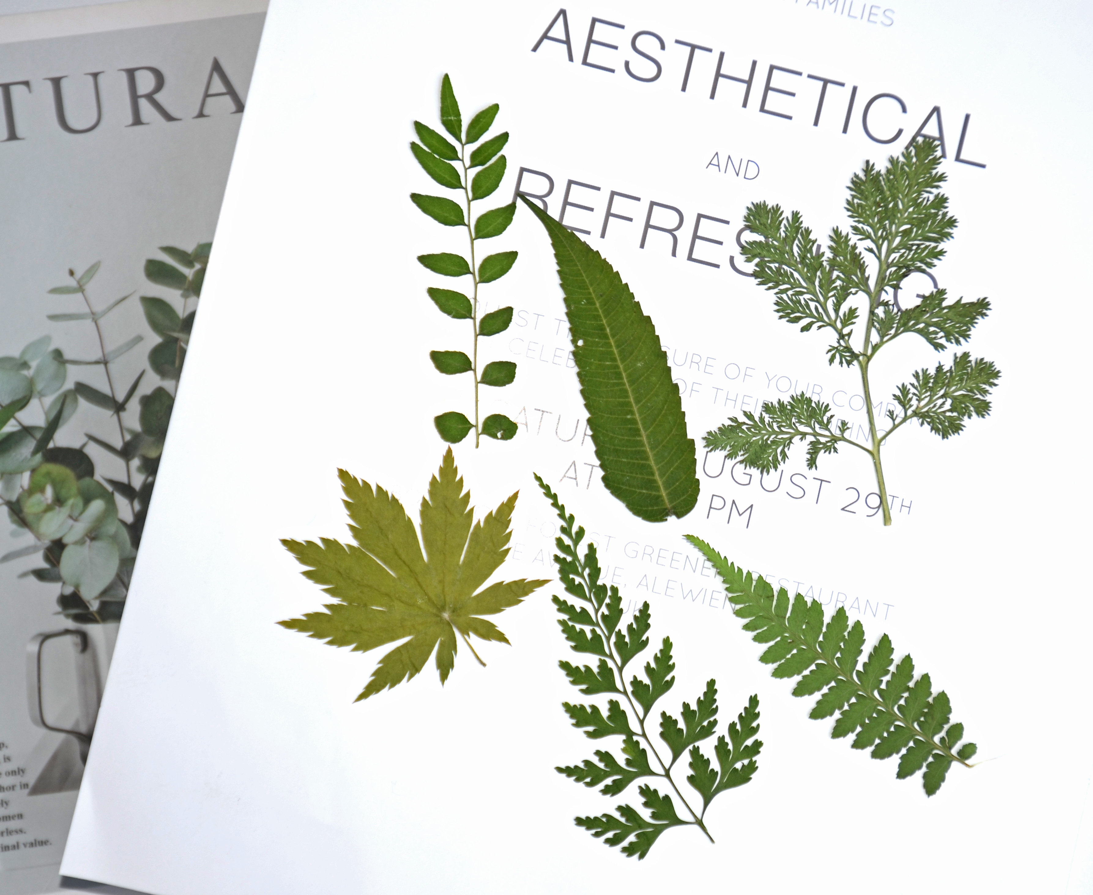 押花植物树叶标本滴胶手机壳儿童教学书签相框干花