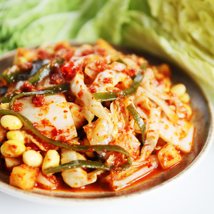 泡菜佐餐下饭菜辣白菜石锅拌饭炒年糕食材淳于府大拌泡菜100g韩式