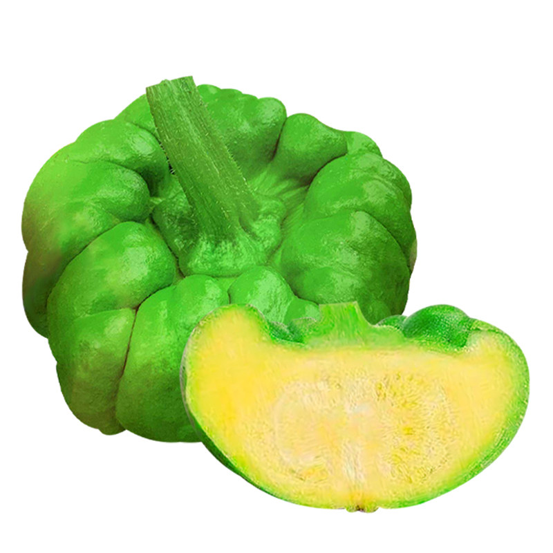 姜柄瓜菜种蔬菜庭院爬藤七叶种子夏秋季春夏菜瓜家庭园艺种子