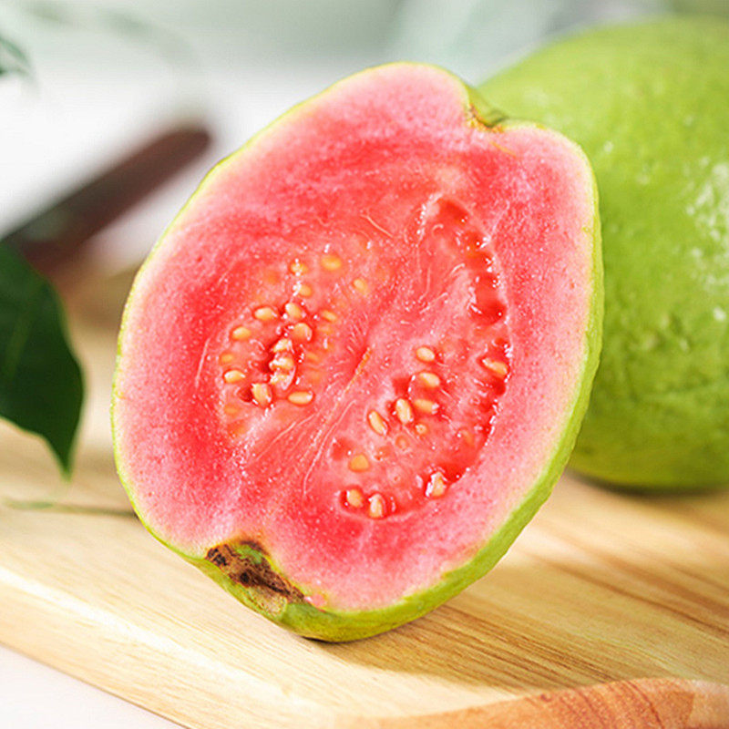 果苗红心西瓜芭乐番石榴四季南方阳台盆栽种植招财猫